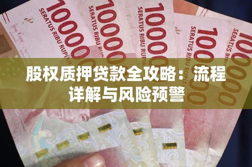 北京股权质押贷款全攻略：流程详解与风险预警