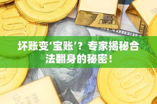 北京坏账变‘宝账’？专家揭秘合法翻身的秘密！