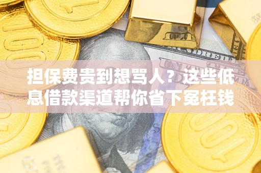 北京担保费贵到想骂人？这些低息借款渠道帮你省下冤枉钱