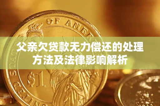 北京父亲欠贷款无力偿还的处理方法及法律影响解析
