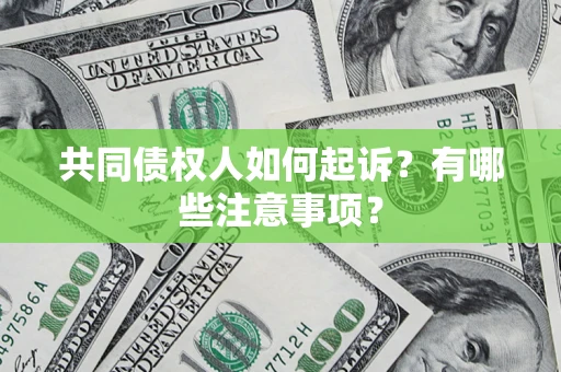 北京共同债权人如何起诉？有哪些注意事项？