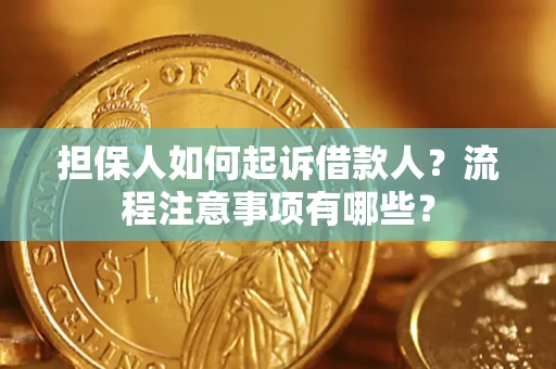 北京担保人如何起诉借款人？流程注意事项有哪些？